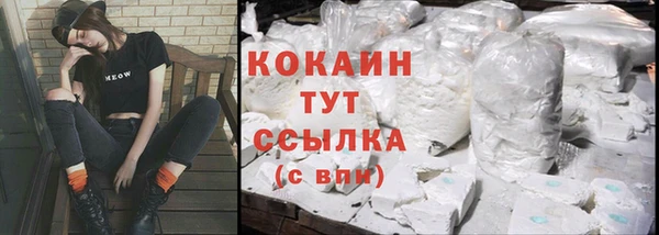 стаф Зеленокумск