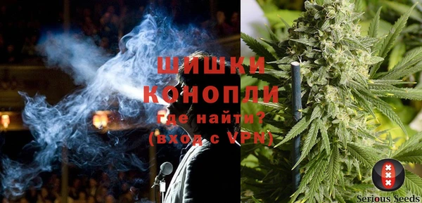 шишки Зеленодольск