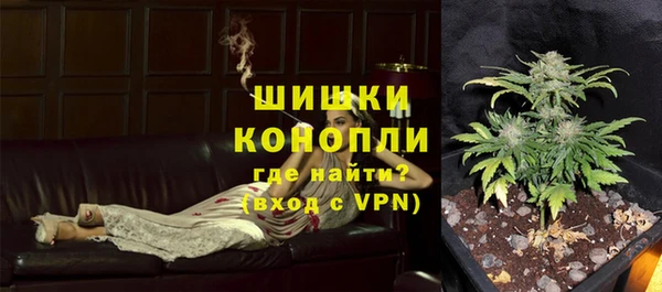 стаф Зеленокумск